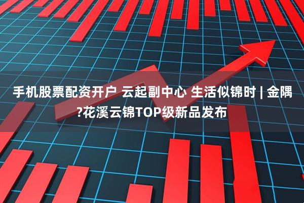 手机股票配资开户 云起副中心 生活似锦时 | 金隅?花溪云锦TOP级新品发布