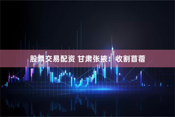股票交易配资 甘肃张掖：收割苜蓿